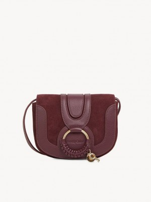 Chloe Hana Mini Tassen Bruin | CHE-SR14725